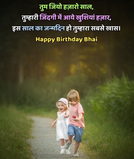 birthday wishes for big brother in hindi